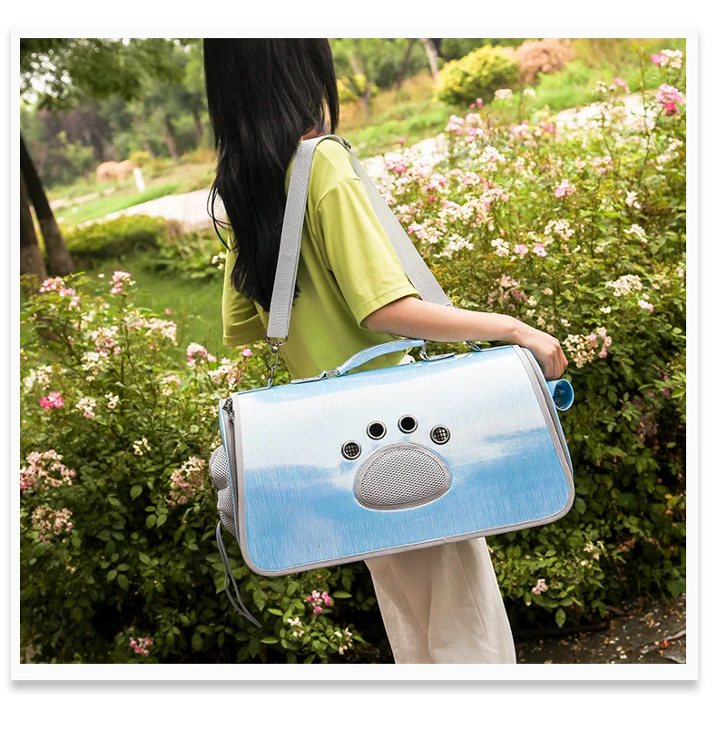 11538045951_299322169