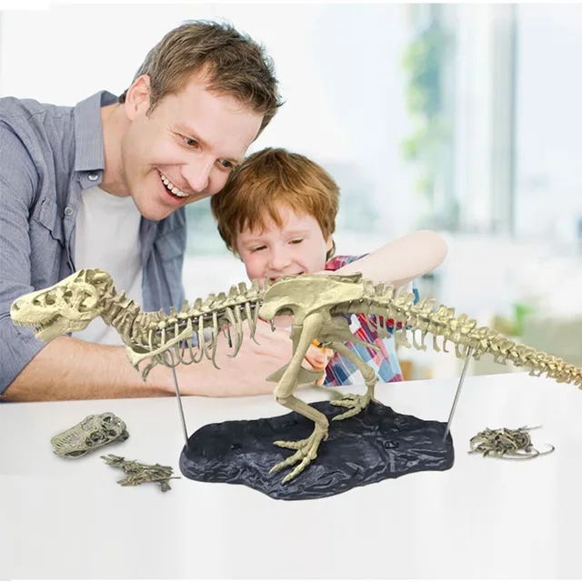 Simulation DIY 3D Dinosaur Model Skeleton Educational Dinosaurio Biology Biologia Interesting Toy For Children Gift Dinosaurios 5