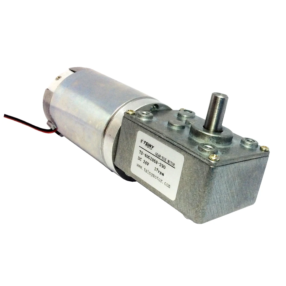 40GZ868 с редуктором самоблокирующийся Особенности DC 12 V/24V 3 160 об/мин червячный