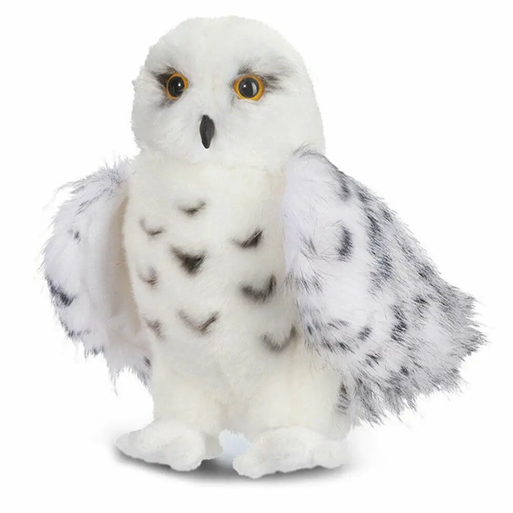 hedwig teddy