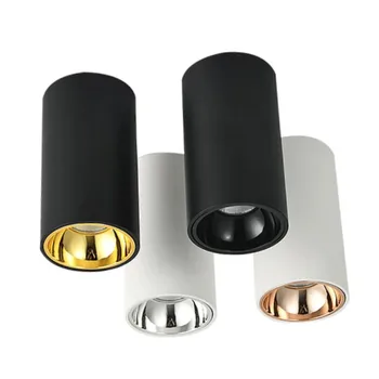 

Showy LED Ceiling Downlight Dimmable 110V 220V No opening Spot light 20W 15W 10W 5W Surface mount for kitchen,bathroom,study