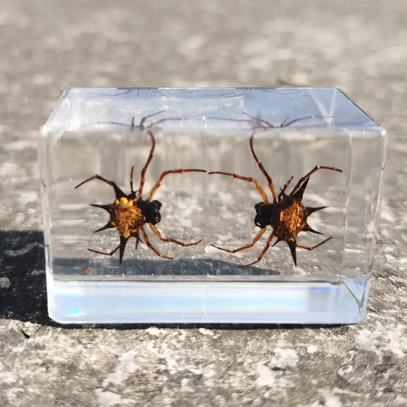 家の装飾用の透明な樹脂標本,1ピース,2つの動きのある動物,2つの