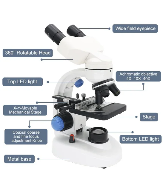 Microscope Parts Not Labeled