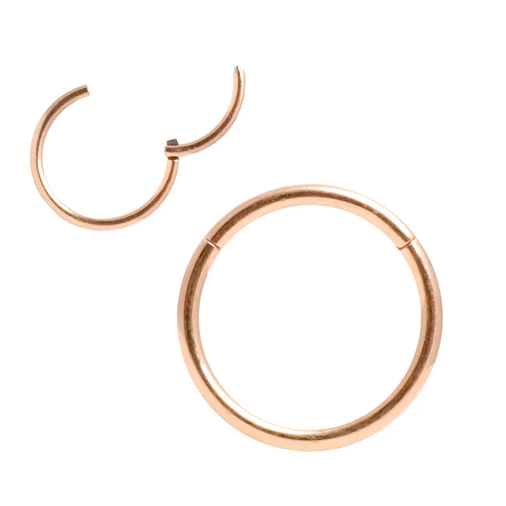 Hypoallergenic Nose Rings 20G 18G 16G 14G 12G 10G 8G 316l Surgical Steel Hinged Segment Ring Body Piercing Jewelry Earrings