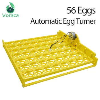 

Automatic Egg Turner 56 Eggs 220V Incubator Egg Tray with Motor Cradle Incubator Motor Chicken Farm Poultry Tool Hatching Device