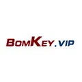 BomKey Elec Store