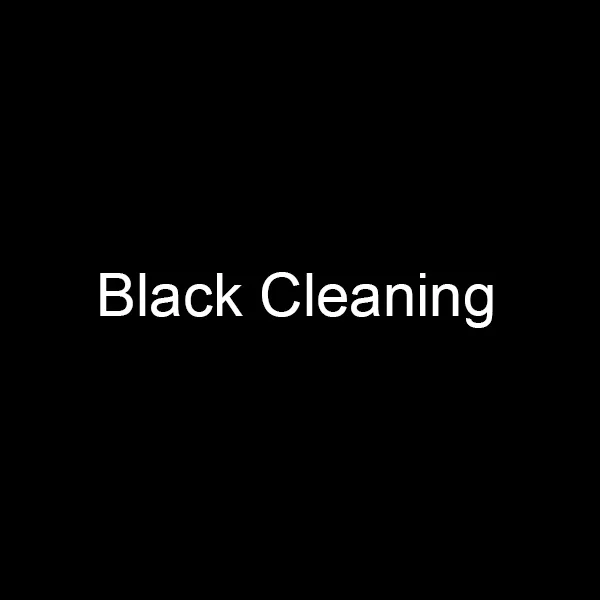 Black Cleaning 1 шт/2 шт многоразовые ватные палочки для чистки ушей Косметические Силиконовые палочки для чистки макияжа и касания дропшиппинг - Цвет: Black Cleaning