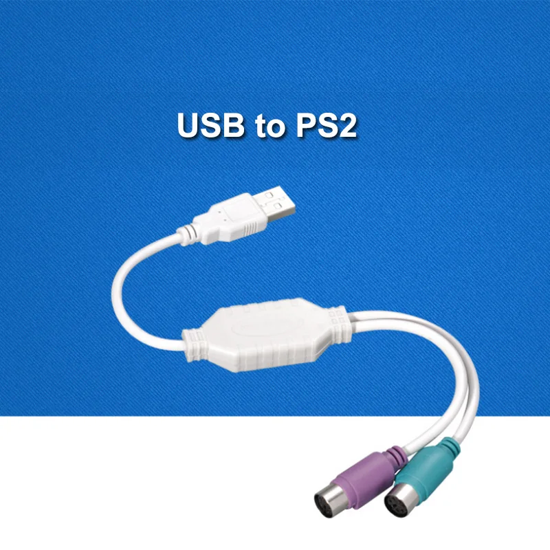 main25