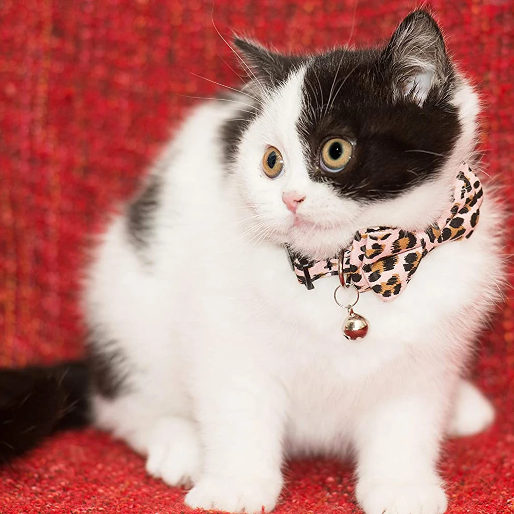 Cats Collar Breakaway with Bell Bowtie Basic Solid Color Cat Collars with Quick Release Buckle Simple and Classic Pattern Cats Collar Breakaway with Bell Bowtie Basic Solid Color Cat Collars with Quick Release Buckle Simple and Classic Pattern