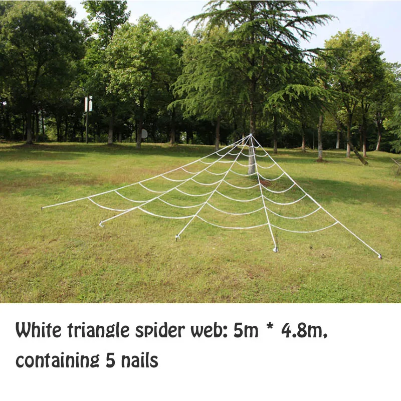 White triangle spider web 5m -4.8m, containing 5 nails