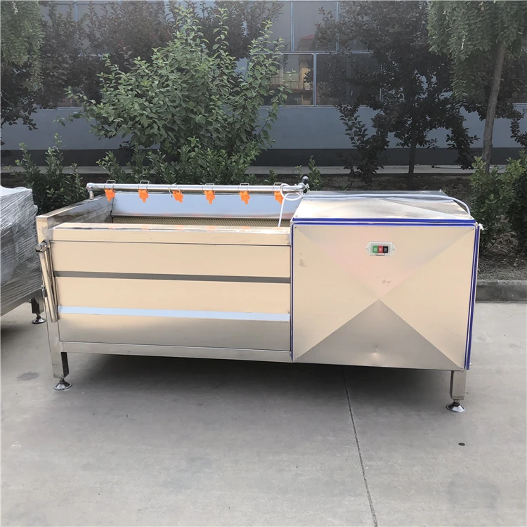 commercial 500kg capacity carrots Brush cleaning machine Fruit and vegetable radish cleaner
