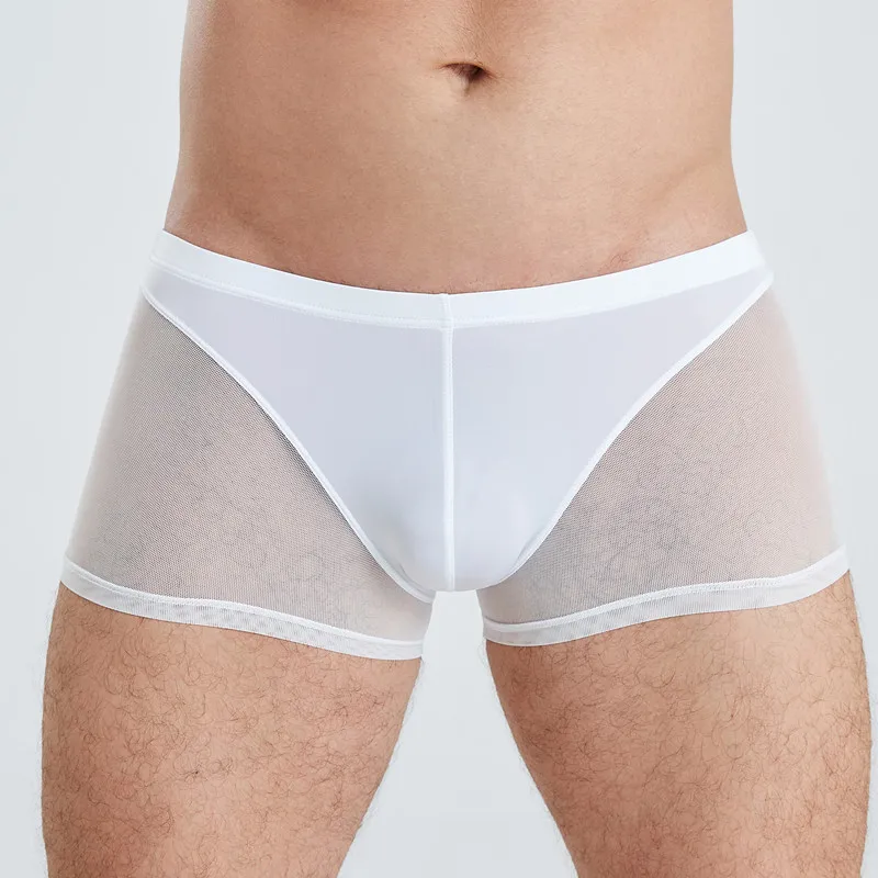 6PCS Men Underwear Mesh Transparent Boxers Polyester Breathable Underpants Cueca Boxershorts Hombre Sexy Shorts Panties Trunks