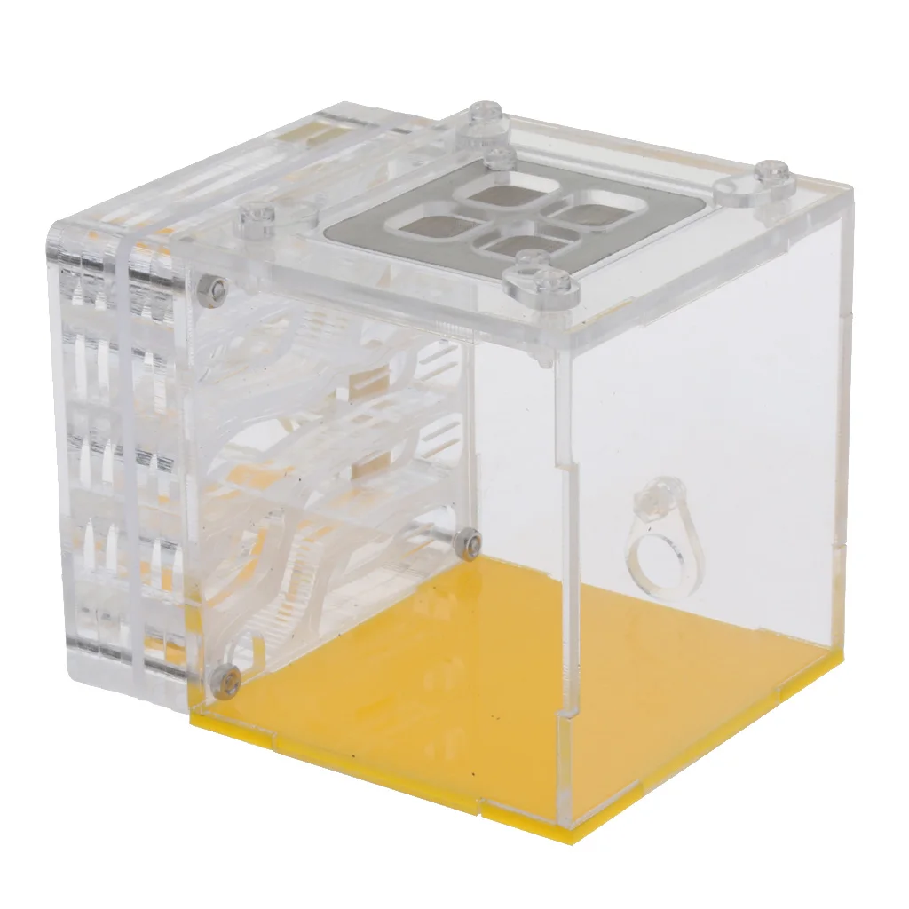 Ant Insect Pet Castle House Farms Feed Transparent Terrarium Display Box Kids Ecological Educational Toys  ( Square )