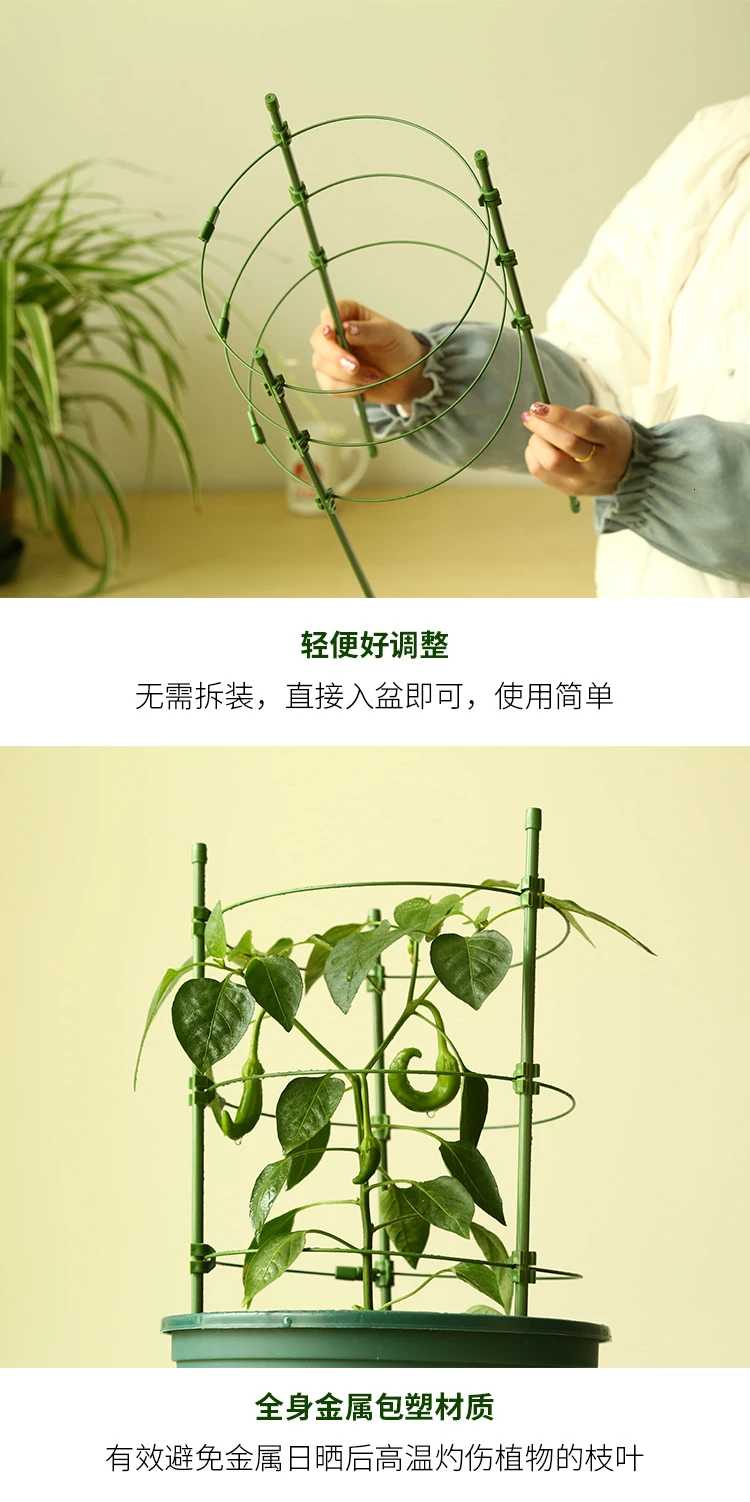 Водонепроницаемый антикоррозийный китайский цветок розы стойки Botany бассейна комнатных цветов и растений ветка распорка Садоводство подъем рамки
