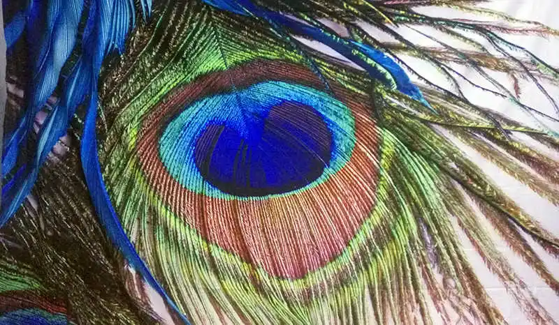 _20180309225724