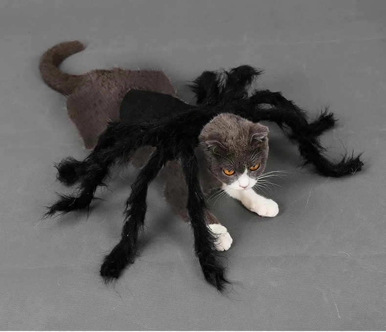 Хэллоуин, одежда для домашних животных, одежда для щенков, плюшевый костюм паука для собак, жилет для кошек, вечерние Забавный наряд, Имитация Черного паука