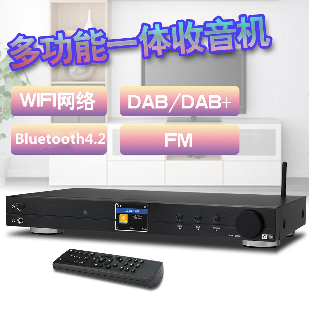 WiFi/DAB+/FM/UPnP/DLNA океан цифровой WR10 интернет BT Ethernet радио RJ45 6,35 мм линейный выход 1U чехол шасси 430 мм с Bluetooth 42