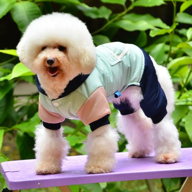 Комбинезон для щенка, куртка с капюшоном для собак, зимняя спортивная одежда, костюм для животных, одежда для маленьких собак для чихуахуа, ёрки, ropa para perro