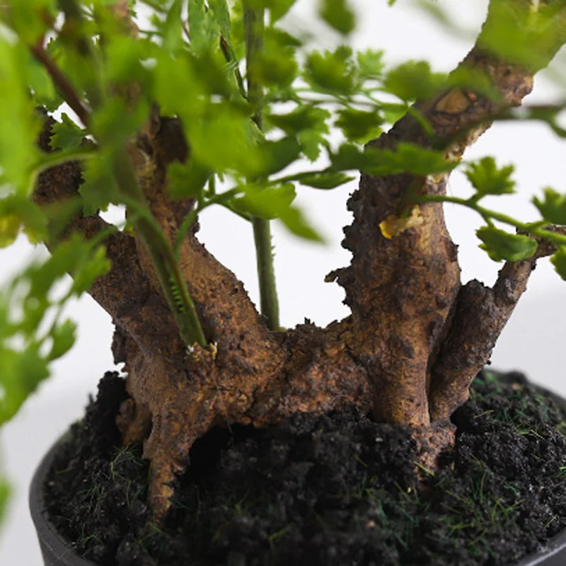 Суккулент Горшечное растение для домашнего сада Декор Искусственный Поддельный зеленый гостиная DIY