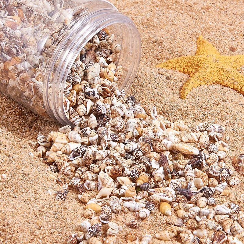 Крошечный Sea Shell океанический пляж спираль ракушки Craft талисманы украшение дома