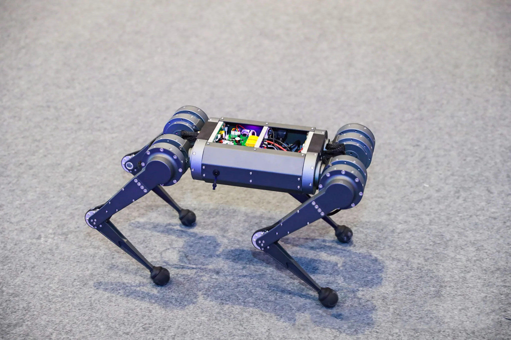 mini cheetah robot