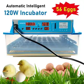 

Full Automatic Egg Incubator Brooder Farm Hatchery Machine 56 Egg Hatcher Poultry Chicken Goose Bird Automatic Egg Incubator