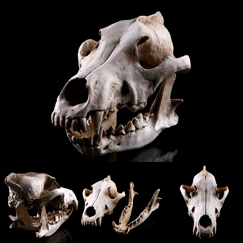 

Resin Craft Handicrafts Decals Garden Others Skull Movie Home Decor Ornament Accessories Model Wolf Skull model Halloween