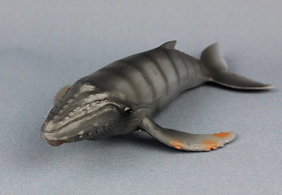 Маленькая модель для морского организма с пересекающимися границами, модель животного в виде Кита, океанов, пластиковая детская игрушка в подарок
