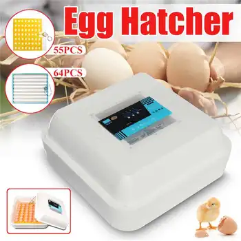 

Hatching machine Brooder Digital 55/64 Egg Fully Automatic Incubator Hatcher Turning Chicken Duck Humidity Temperature Control