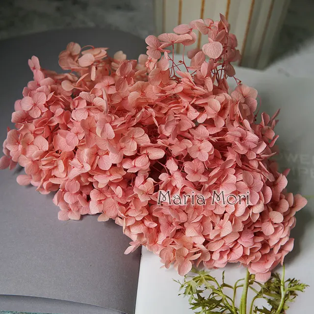 Anna Hydrangea  Flowers  Little  Leaves Preserved Hydrangea Decor  Office Decor  DIY Flowers Color 63