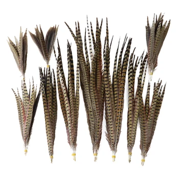 

10Pcs Natural Ringneck Pheasant Tail Feathers 20-75CM Wedding Home Decoration Feather for Crafts Plume Plumas Wholesale