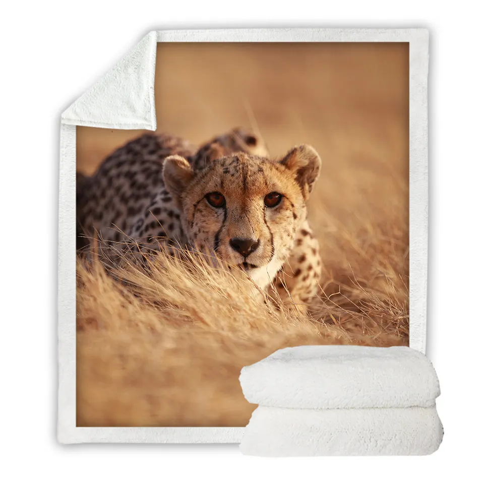 白底-SWMT2496等待猎豹