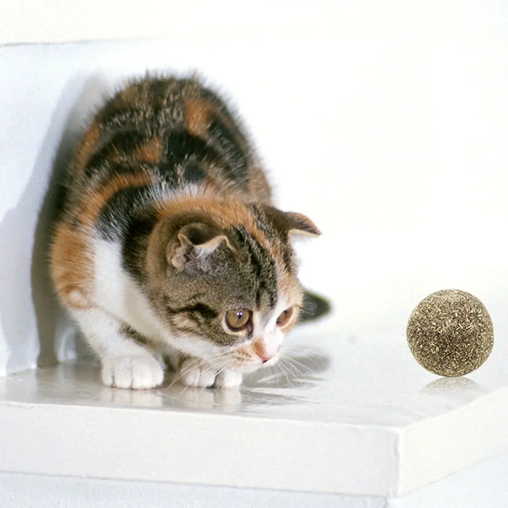 Кошка натуральная кошачья мята игрушки ментоловый аромат котенок мяч кошки игра