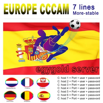 

Stable Europe Cccam Cline For 1 Year HD Estable Server Germany Poland Portugal Italy Spain Poland Oscam cline For Receiver