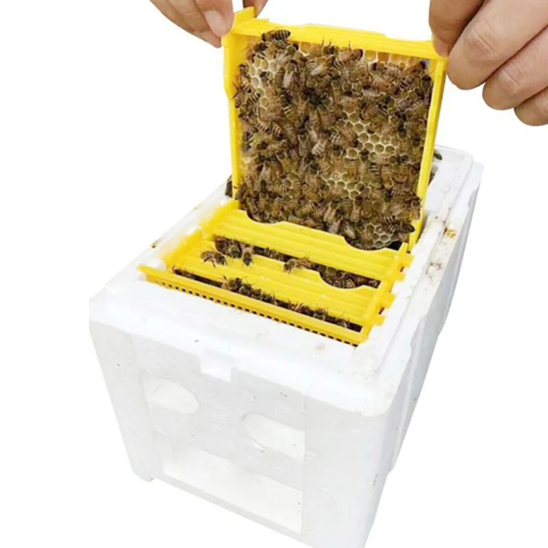 Высококачественный пчелиный улей King Frames коробка для пчеловодства, улей, пчеловодства