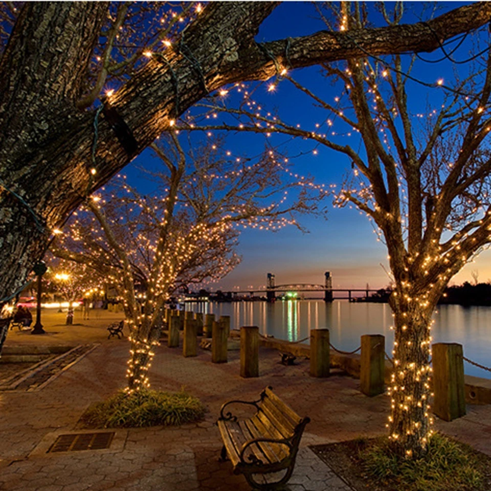 15004842109_1806227243