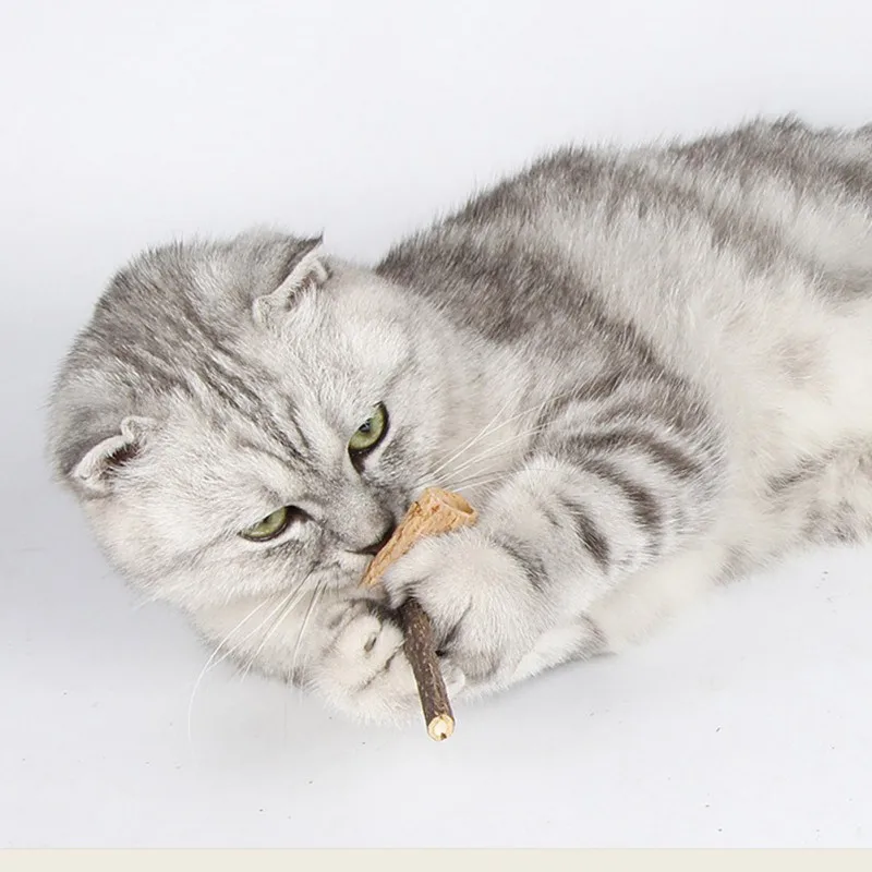 

Creative Pipe Shaped Chew Toy For Cats Interactive Catnip Molar toys For Teeth Cleaning Pet Supplies dropshiping