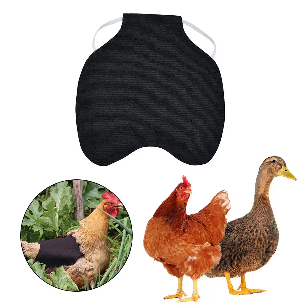 Куриные поясничные фартук для курицы, перьевая задняя защита, один эластичный ремень, стандартные хлопковые холщовые куртки с цыплятами, товары для фермы 20E - Цвет: Black