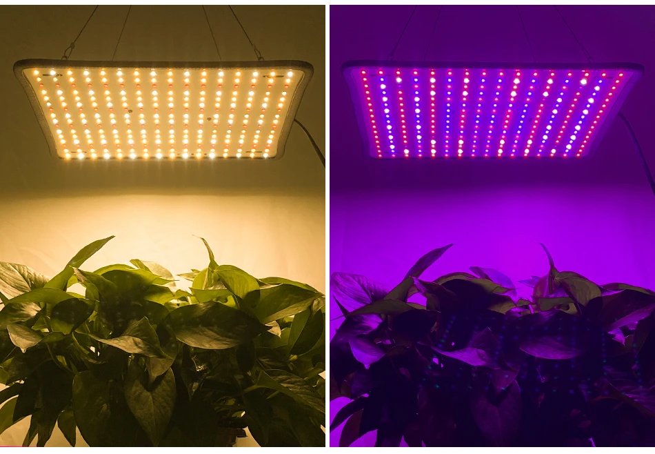 lâmpada led de 220v para cultivo de