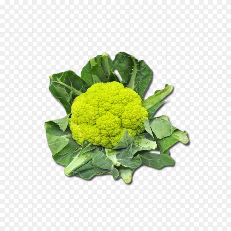西兰花,花椰菜,素食菜,绿色植物,春菜,西兰花