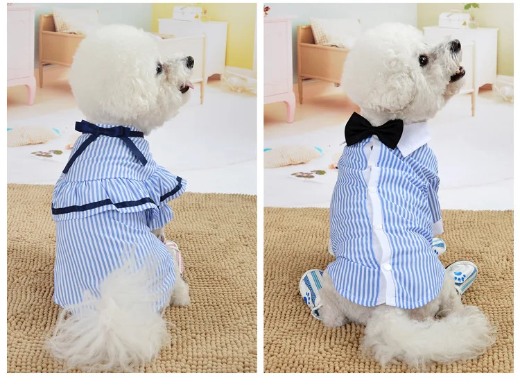 11711669577_1368698927