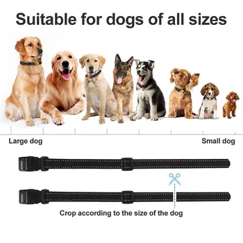 

Dog Training Collar Waterproof Rechargeable Vibration Beep Static Mode for Pet PI669