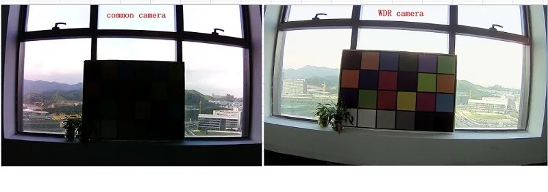 comparation picture_副本