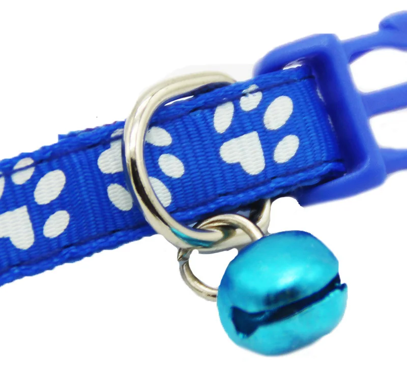 dog collar for small dogs