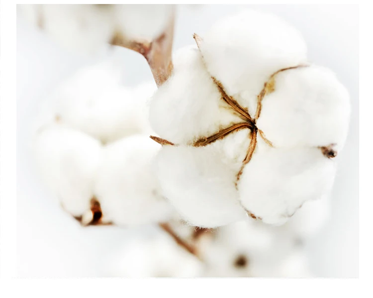 cotton-swabs_03