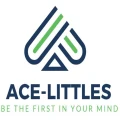 ACE-Littles Store