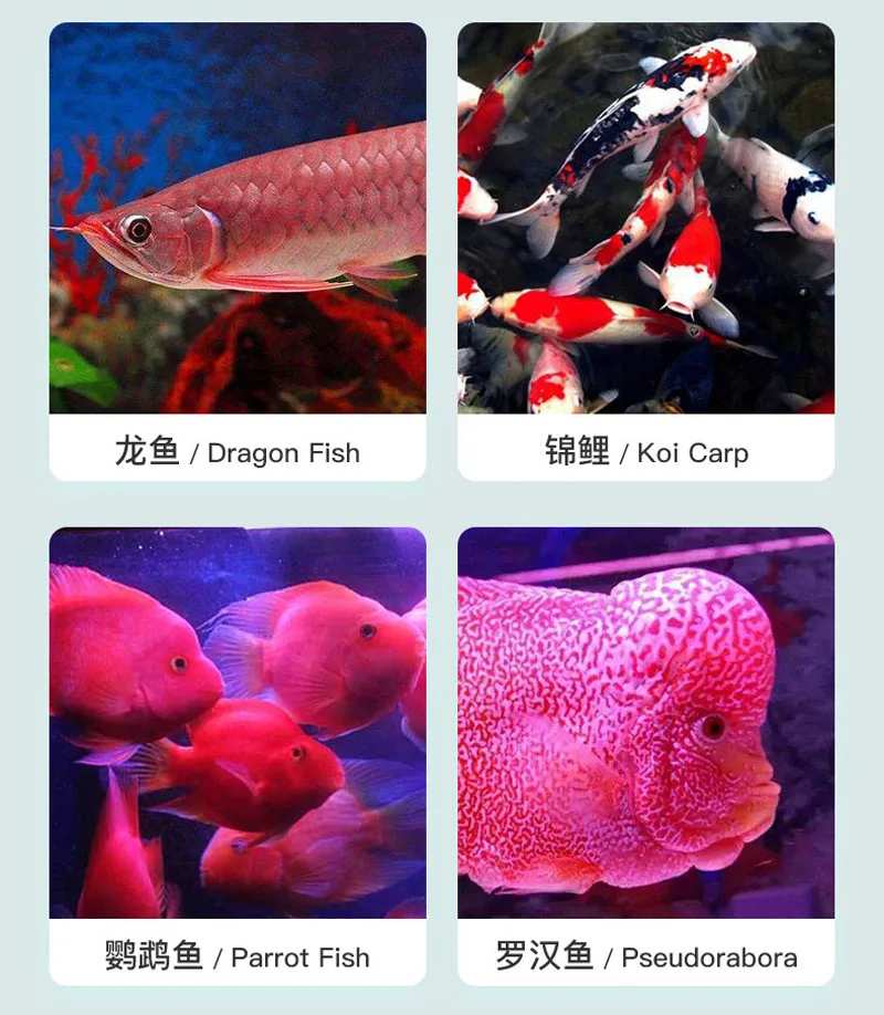 Aquarium red parrot fish food Pond cryprinus carpiod sticks feed cichild flowerhorn float on water tropical coldwater fish