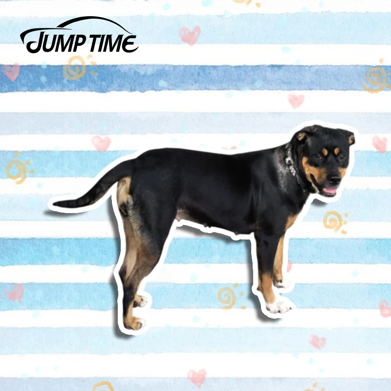 Время скачка 13 см x 8 7 3D автомобильный Стайлинг Rottweiler Fierce Dog наклейка на велосипед