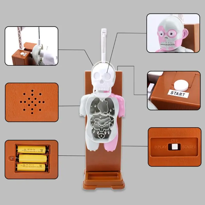 Детская развивающая игрушка-манекен-головоломка для обучения человеческим органам 72XC