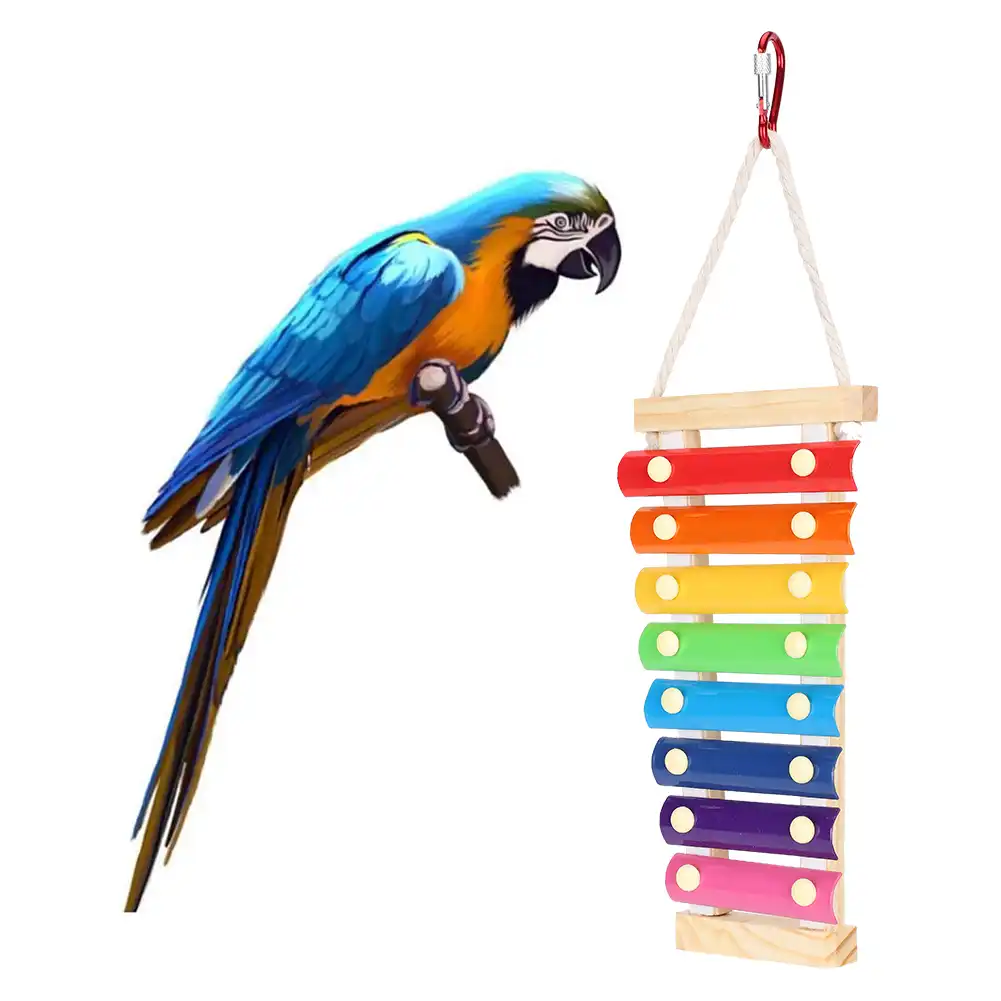 チキンフィーダーぶら下げチキン音のおもちゃのオウムオンドリつつき木琴のおもちゃ装飾異なる音飲料ボウル Birdcage Ladders Aliexpress